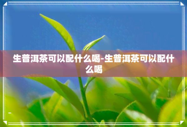 生普洱茶可以配什么喝-生普洱茶可以配什么喝