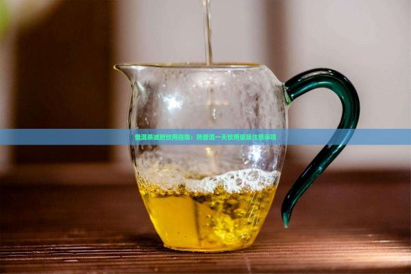 普洱茶減肥飲用指南：熟普洱一天飲用量及注意事項(xiàng)