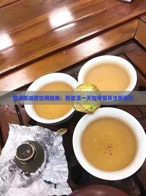 普洱茶減肥飲用指南：熟普洱一天飲用量及注意事項(xiàng)