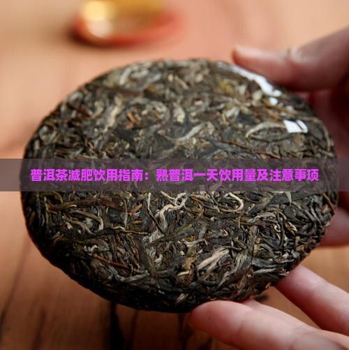 普洱茶減肥飲用指南：熟普洱一天飲用量及注意事項(xiàng)