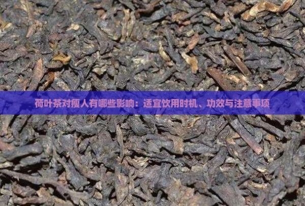 荷葉茶對瘦人有哪些影響：適宜飲用時機、功效與注意事項