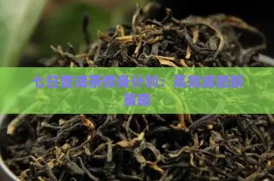 七日普洱茶修身計劃：高效減肥新策略