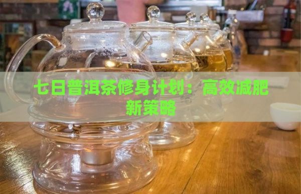 七日普洱茶修身計劃：高效減肥新策略