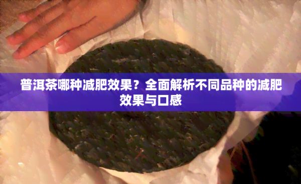 普洱茶哪種減肥效果？全面解析不同品種的減肥效果與口感