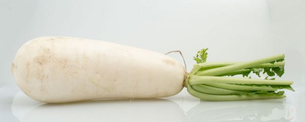 吃蘿卜可以減肥嗎 吃蘿卜的好處 蘿卜的吃法