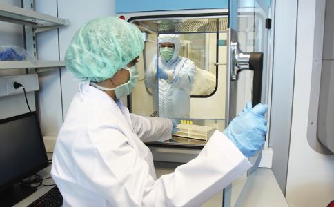 人工熊膽 立項 未獲批