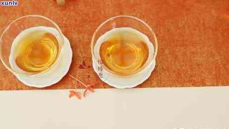 普洱茶飲用指南：日常保養(yǎng)與健康建議