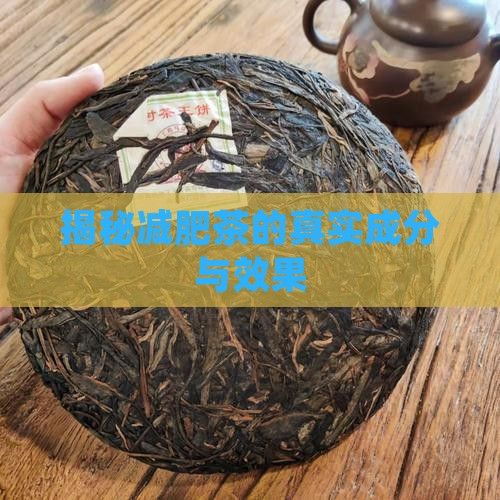 揭秘減肥茶的真實成分與效果
