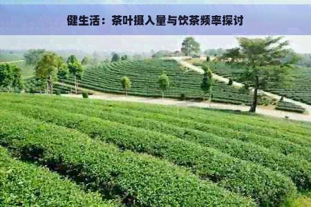 健生活：茶叶摄入量与饮茶频率探讨