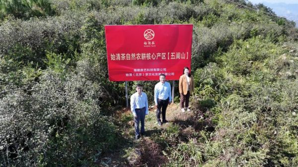 點擊查看原始圖片