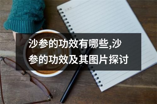 沙參的功效有哪些,沙參的功效及其圖片探討