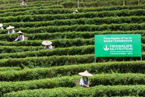 ▲康宝莱位于福建南平的茶产品原料产地。放心的原材料保障“舌尖上的安全”。