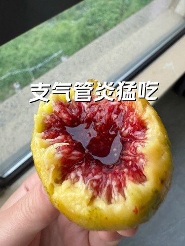 支气管炎咳嗽牢记！