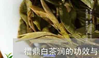 润茶的功效与作用及其禁忌全解析
