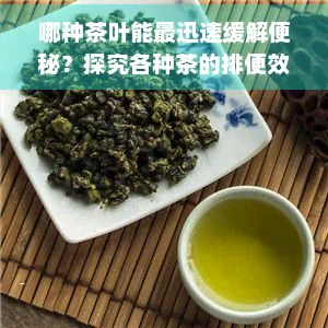 哪种茶叶能最迅速缓解便秘？探究各种茶的排便效果与选择建议