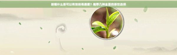 新喝什么茶可以有效排通便？推荐几种全面的茶饮选择