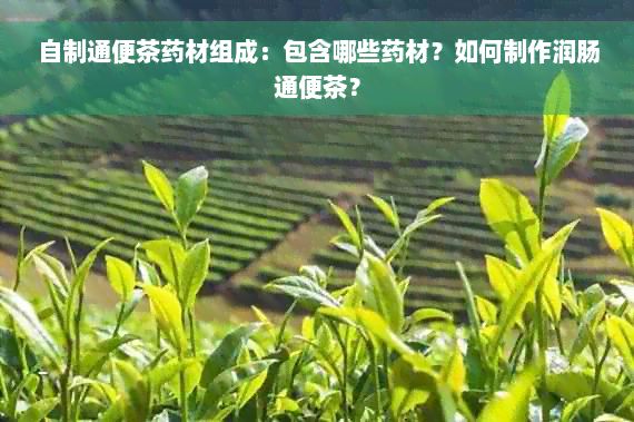 自制通便茶药材组成：包含哪些药材？如何制作润肠通便茶？