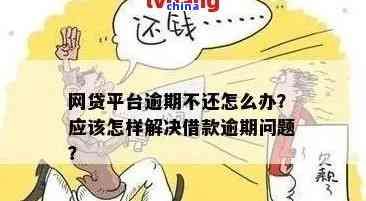 普洱茶的全面营养成分分析：包含哪些元素？如何影响健？