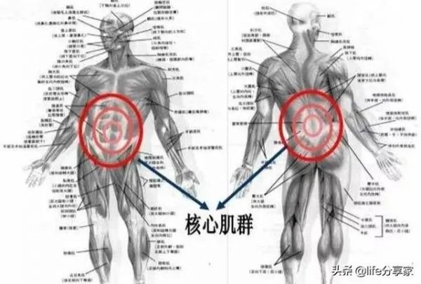 健身如何訓(xùn)練核心？這幾個(gè)動(dòng)作，助你一臂之力