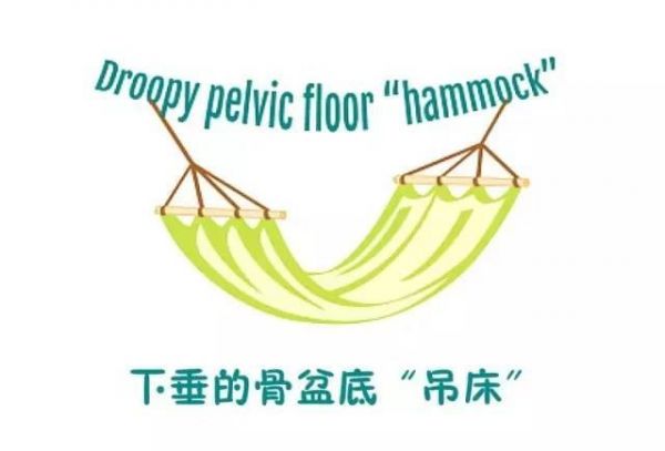 90%的人都搞錯(cuò)！核心訓(xùn)練就是一直收緊腹部？