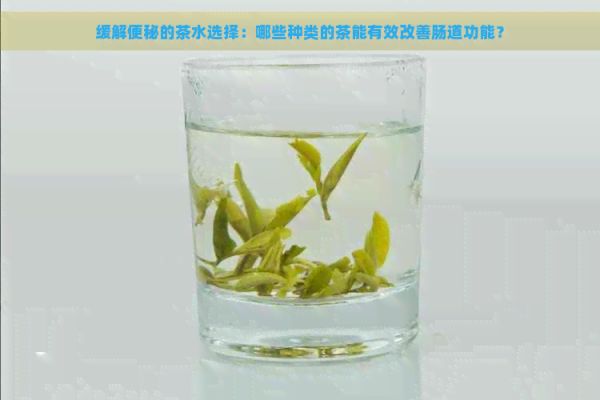 緩解便秘的茶水選擇：哪些種類的茶能有效改善腸道功能？