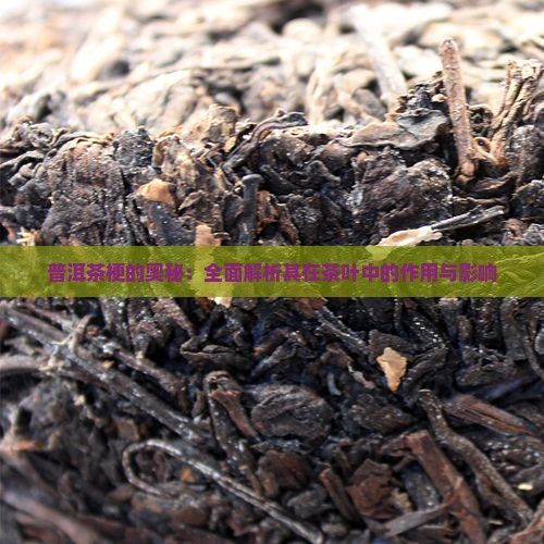普洱茶梗的奧秘：全面解析其在茶葉中的作用與影響