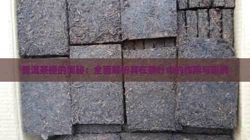 普洱茶梗的奧秘：全面解析其在茶葉中的作用與影響