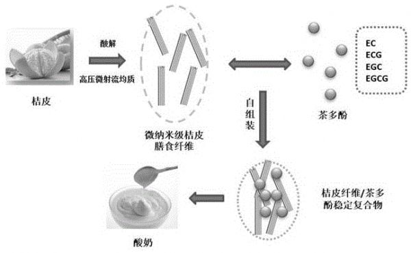一種含有桔皮纖維與茶多酚的酸奶及其制備方法與流程