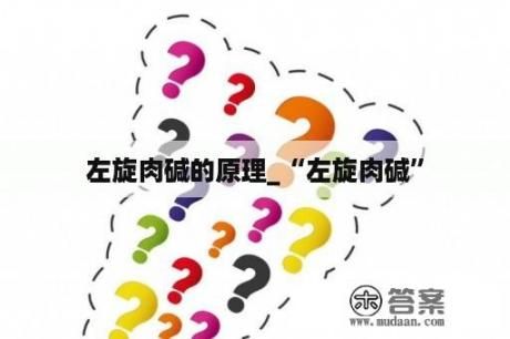 左旋肉堿的原理_“左旋肉堿”