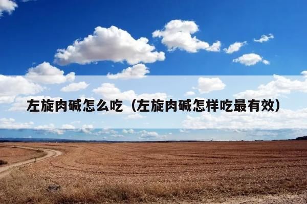 左旋肉堿咋么吃（左旋肉堿咋么吃最有效）
