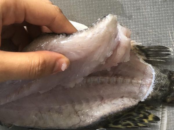純奶手撕吐司的做法 步驟1