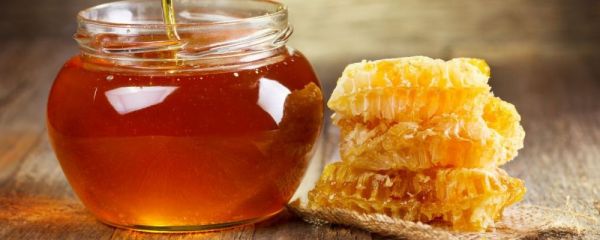 蜂蜜食疗方 经典蜂蜜食疗 蜂蜜保健 蜂蜜的功效 槐花蜜功效 