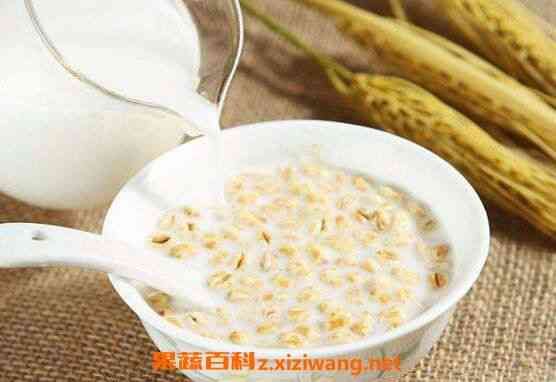 生燕麥的煮法：全面指南與減肥竅門，怎么煮才好吃
