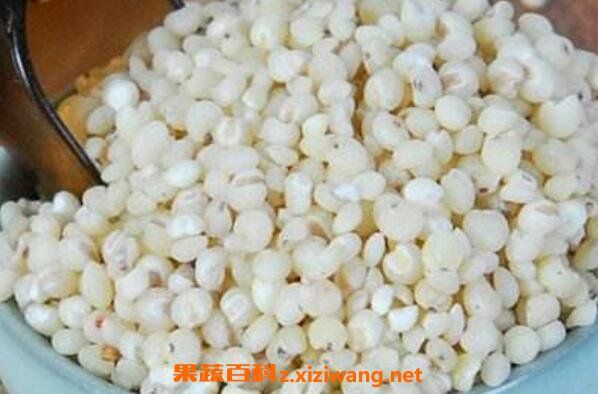 吃高粱米的好處有哪些 吃高粱米的壞處
