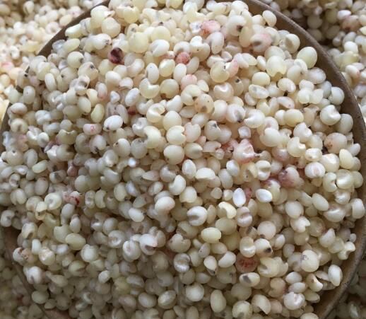 高粱脫殼后即為高梁米，高粱米磨粉可以制作各種面食