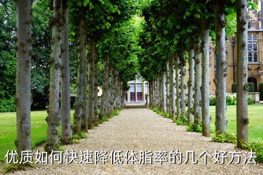 優(yōu)質(zhì)如何快速降低體脂率的幾個(gè)好方法