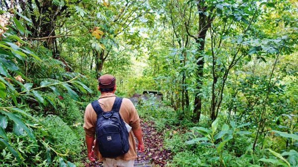 TAMBLINGAN TREKKING – BALI JUNGLE TREKKING | Best Hiking Tour Guide |