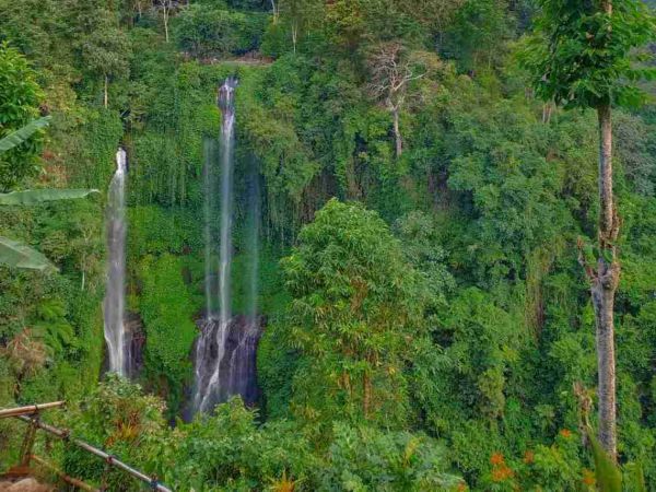 Sekumpul Waterfall Guide & Entrance Ticket - IdeTrips