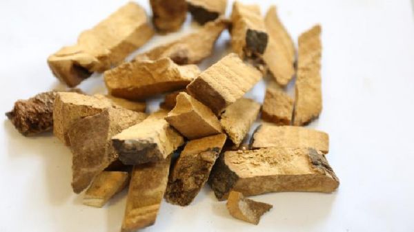 魔鬼西紅柿減肥食譜 七天讓你瘦十斤