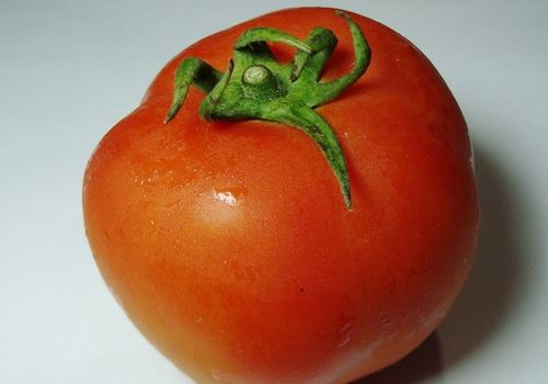 西紅柿減肥法