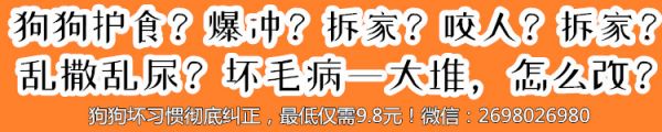 狗狗如何變乖