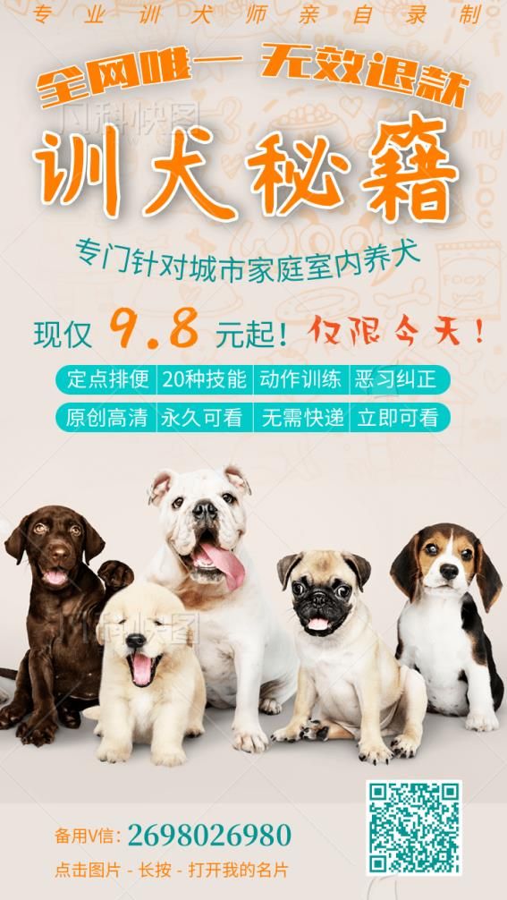 我是柴豆豆，柴犬愛好者一枚