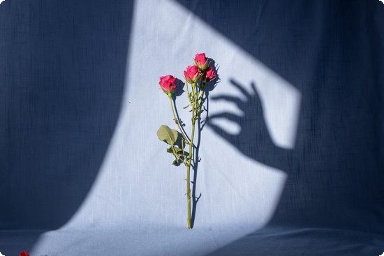 神奇酸奶斷食減肥法5天立減16斤