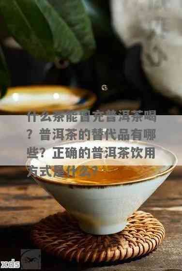 除了普洱茶，還有哪些茶可以替代普洱茶？