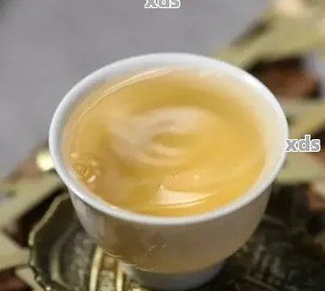 除了普洱茶，還有哪些茶可以替代普洱茶？