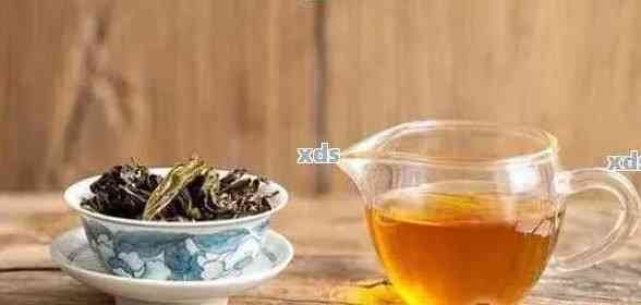 除了普洱茶，還有哪些茶可以替代普洱茶？