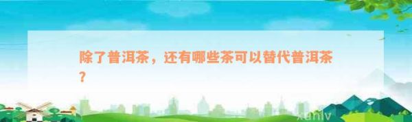 除了普洱茶，還有哪些茶可以替代普洱茶？
