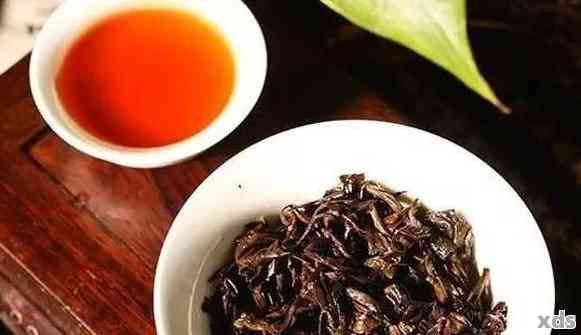 除了普洱茶，還有哪些茶可以替代普洱茶？