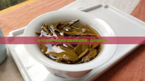 全方位解析：哪些茶葉能助你緩解便秘，促進腸道健康