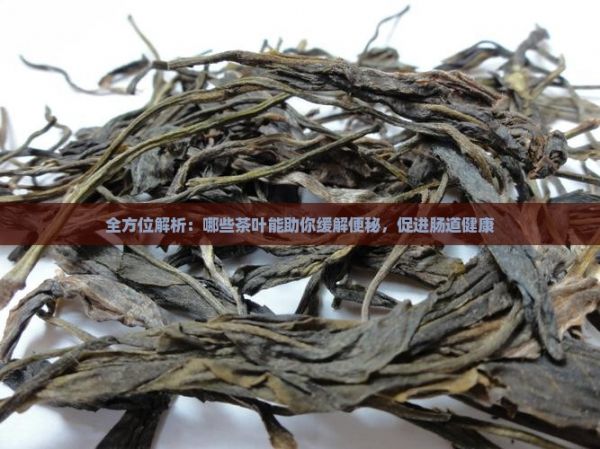 全方位解析：哪些茶葉能助你緩解便秘，促進腸道健康